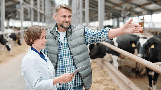 How to Create a Comprehensive Hay Farm Business Plan